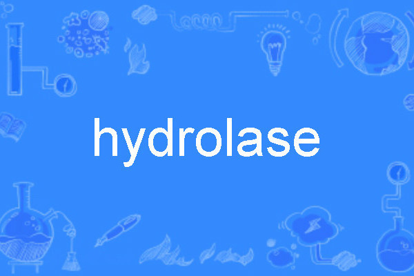 hydrolase hydrolase