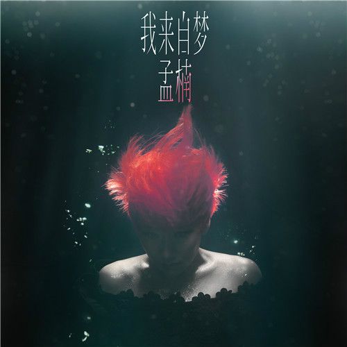 我來自夢(孟楠2014專輯) 我來自夢(孟楠2014專輯)