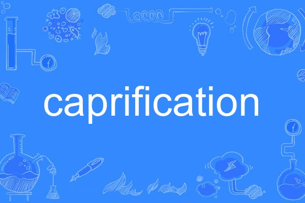 caprification caprification