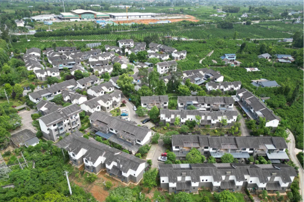 獅子樹村 獅子樹村