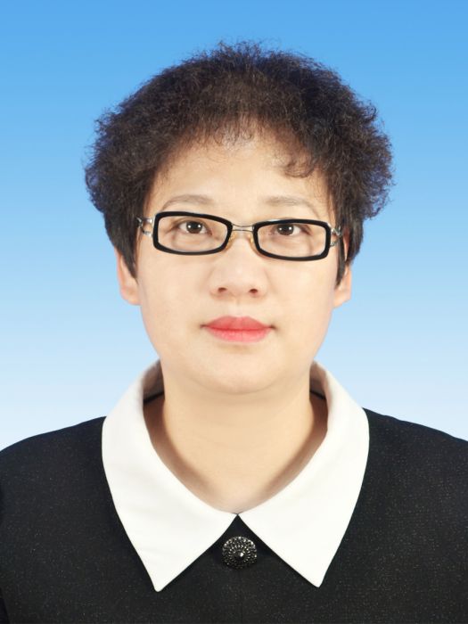 王蕾(河南省平頂山市政府辦公室副主任) 王蕾(河南省平頂山市政府辦公室副主任)