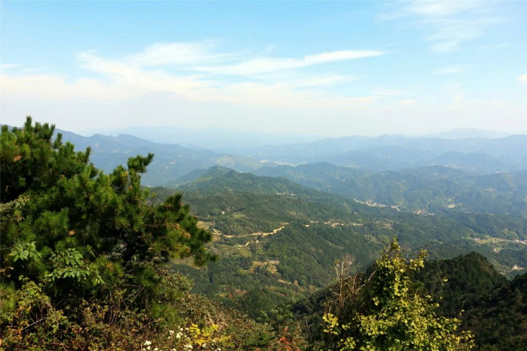 西山藥庫 西山藥庫