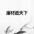 廢材遮天下 廢材遮天下