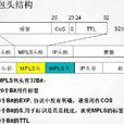 多協定標籤交換(MPLS)