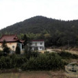 小鰲坑村 小鰲坑村