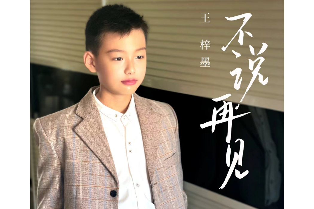 不說再見(王梓墨演唱的歌曲) 不說再見(王梓墨演唱的歌曲)