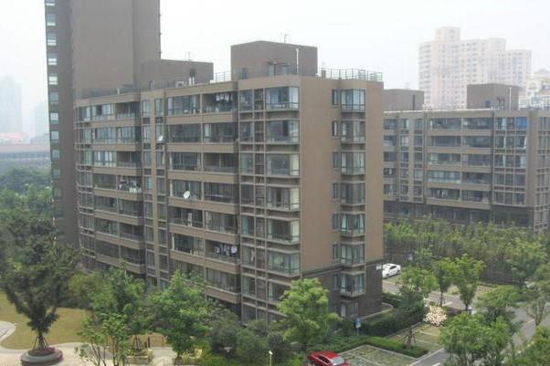 中星新城 中星新城