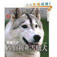 世界名犬馴養寶典：極地王子西伯利亞雪橇