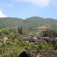 先鋒村(雲南省金山白族鄉先鋒村) 先鋒村(雲南省金山白族鄉先鋒村)