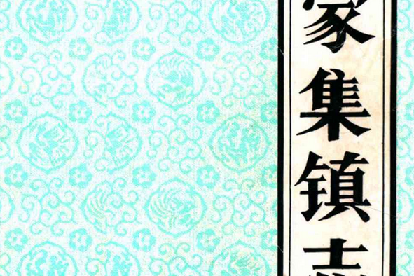 孫家集鎮志 孫家集鎮志