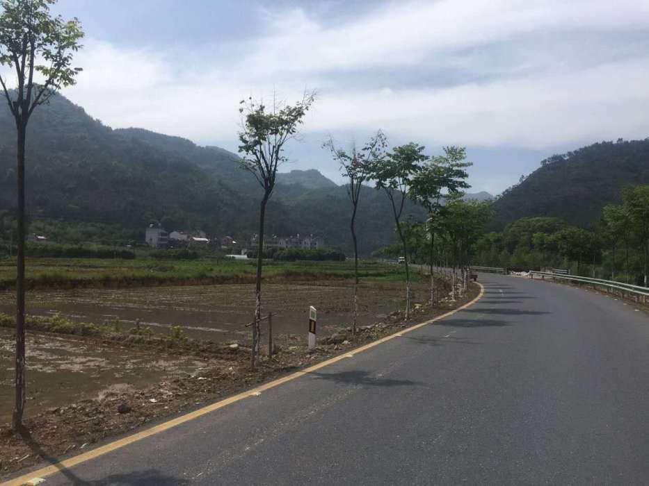 社姆新村 社姆新村