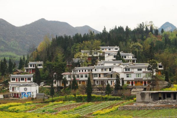 三甲地村