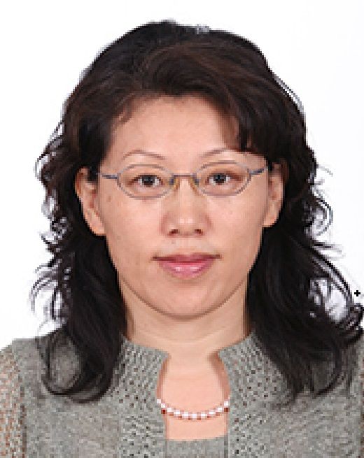 林紅(清華大學材料學院教授) 林紅(清華大學材料學院教授)