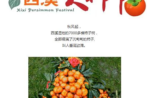 西溪火柿節 西溪火柿節