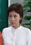 健康快車(2004年尚敬執導電視劇)