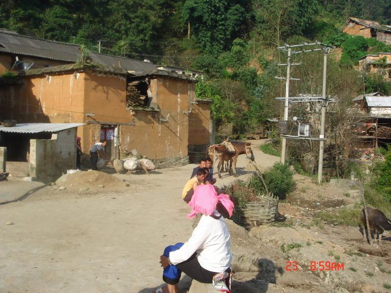 老河寨村 老河寨村