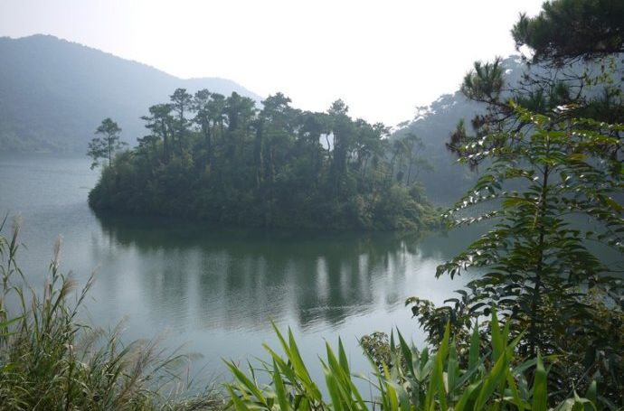 九坑河水庫 九坑河水庫