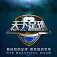 天下足球(CCTV-5欄目) 天下足球(CCTV-5欄目)