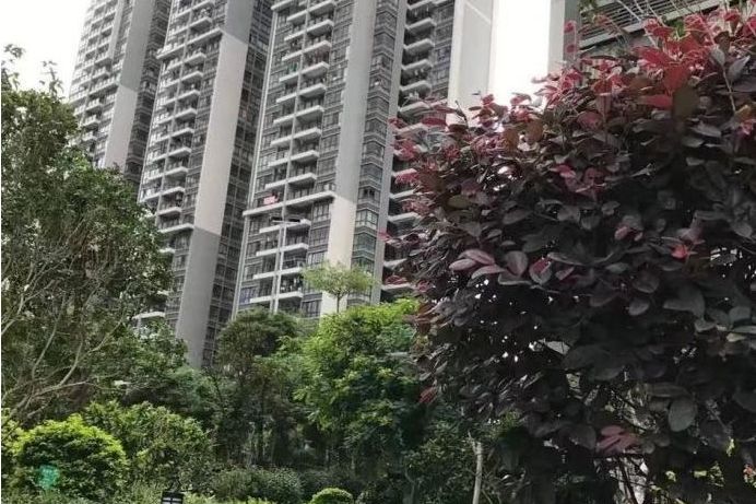 嘉盛新寓 嘉盛新寓