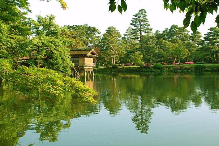 金光村(四川省眉山市東坡區悅興鎮金光村) 金光村(四川省眉山市東坡區悅興鎮金光村)
