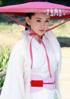 新甘十九妹(甘十九妹（2013年張定涵主演的電視劇）)