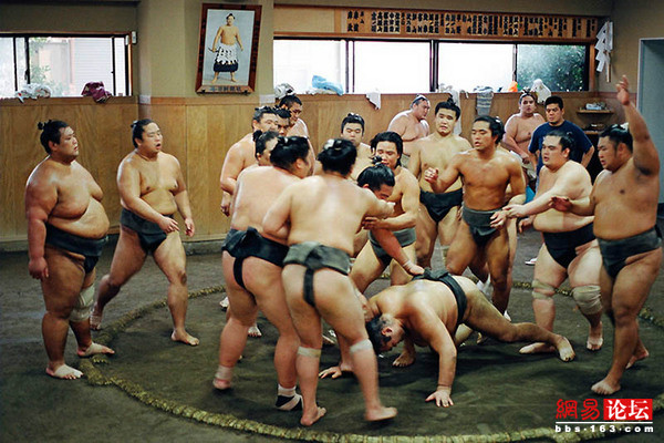 認知日本系列-相撲