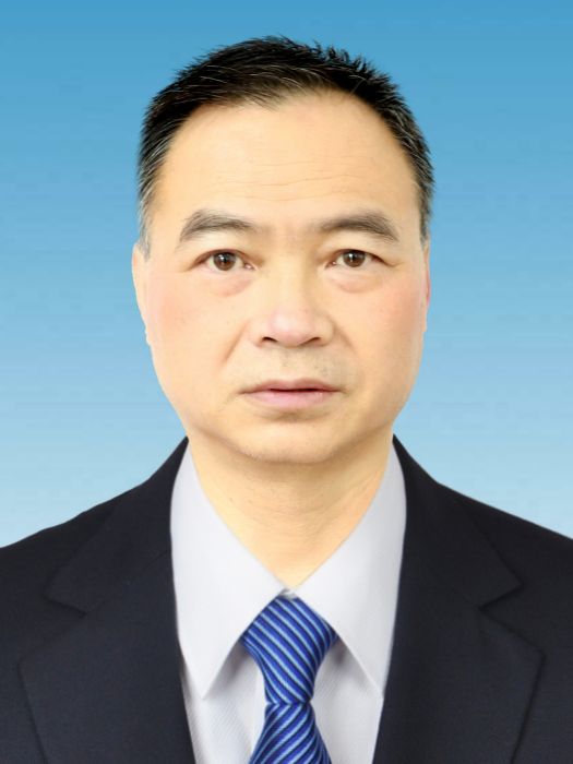 陳林(貴州省遵義市國資委黨委書記、主任) 陳林(貴州省遵義市國資委黨委書記、主任)