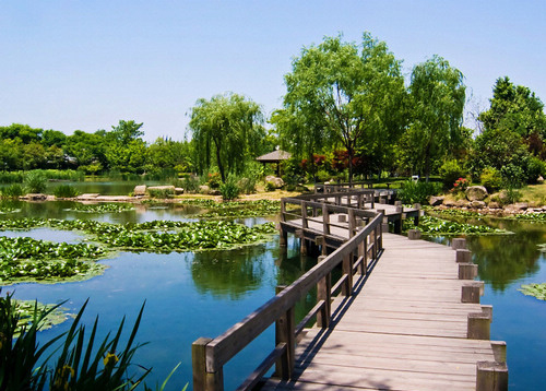 長橋溪水生態修復公園