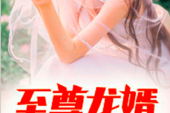 至尊龍婿(黑岩網小說) 至尊龍婿(黑岩網小說)