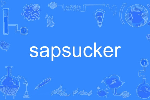 sapsucker sapsucker
