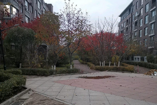 隆基寶典 隆基寶典