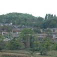 庵子上村 庵子上村