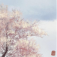 天雲流(離舊夢創作的網路小說) 天雲流(離舊夢創作的網路小說)