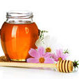 honey(英文單詞) honey(英文單詞)