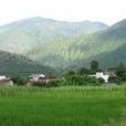 幸福村(雲南省新平縣漠沙鎮幸福村)