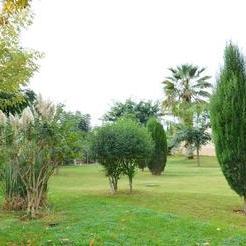 Santa Eulalia Garden Santa Eulalia Garden