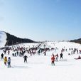雲居滑雪場 雲居滑雪場