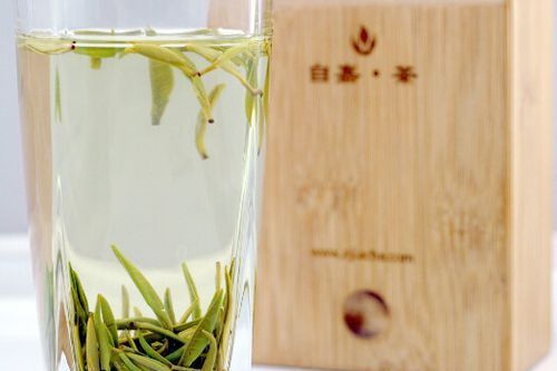 姑箐貢茶 姑箐貢茶