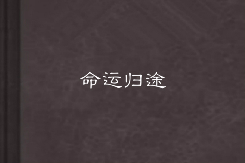 命運歸途 命運歸途
