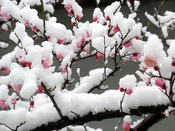 高爾山冰雪世界