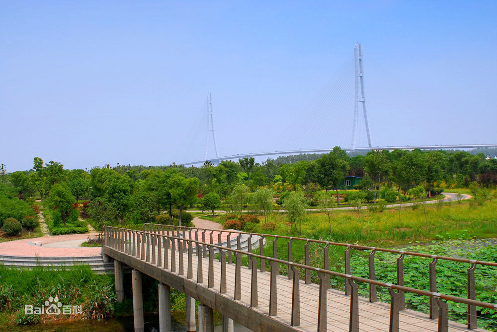 三橋濕地公園