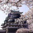 無血開城(日本無血開城)