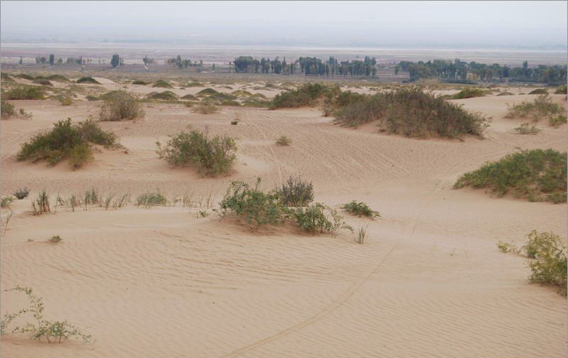 烏蘭布和沙漠