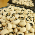 米豆(蝶形花科植物豇豆的種子)