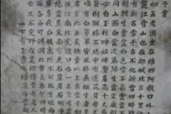 馬之龍 馬之龍