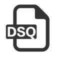 DSQ DSQ