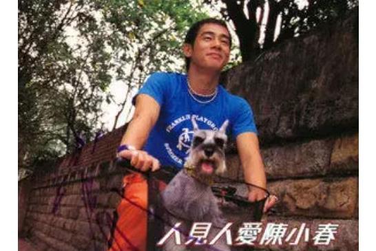 愛上你(陳小春演唱歌曲) 愛上你(陳小春演唱歌曲)