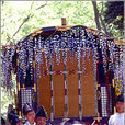 京都葵祭 京都葵祭
