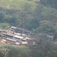馬家地村(雲南省漾濞縣蒼山西鎮下轄村) 馬家地村(雲南省漾濞縣蒼山西鎮下轄村)