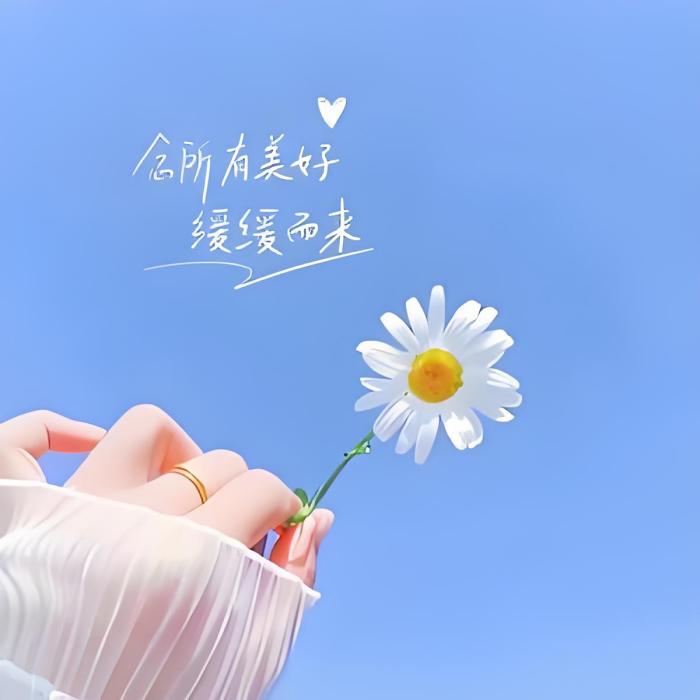 小小希 小小希